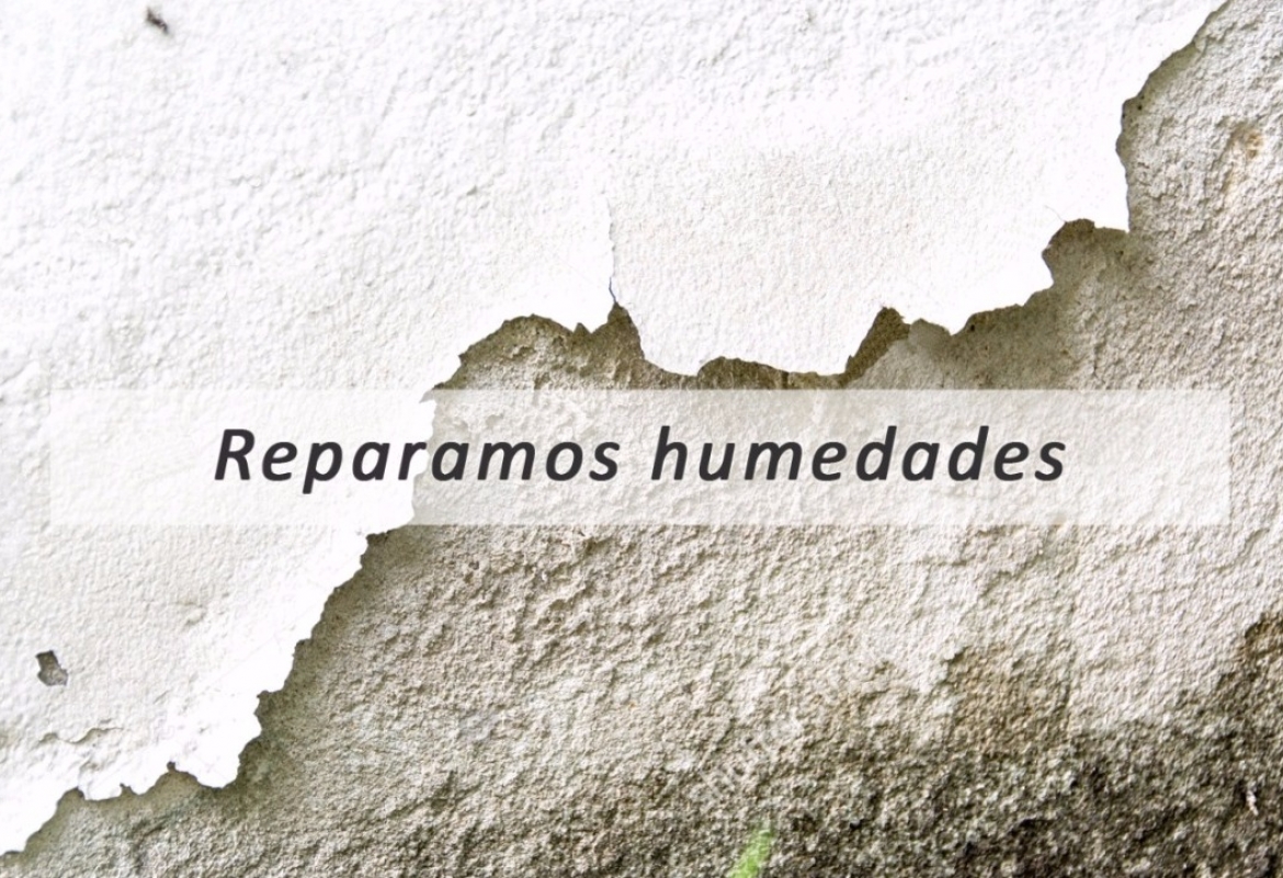 Imagen 0